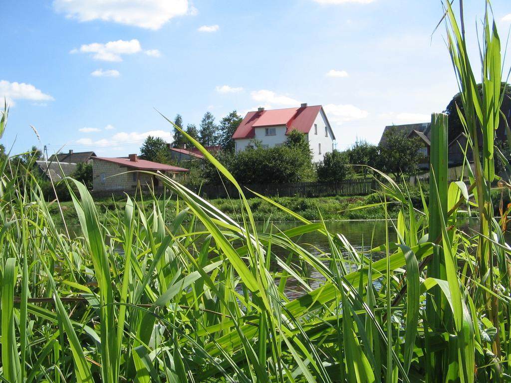 Dom Pod Czarnym Bocianem Apartment Tykocin Bagian luar foto